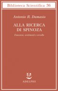 Alla ricerca di Spinoza