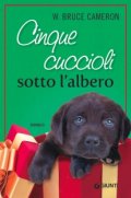 Cinque cuccioli sotto l'albero