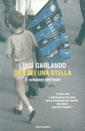 Ora sei una stella. Il romanzo dell'Inter